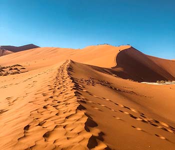 TRAVEL AFRICA pexels-jessie-crettenden-3714898