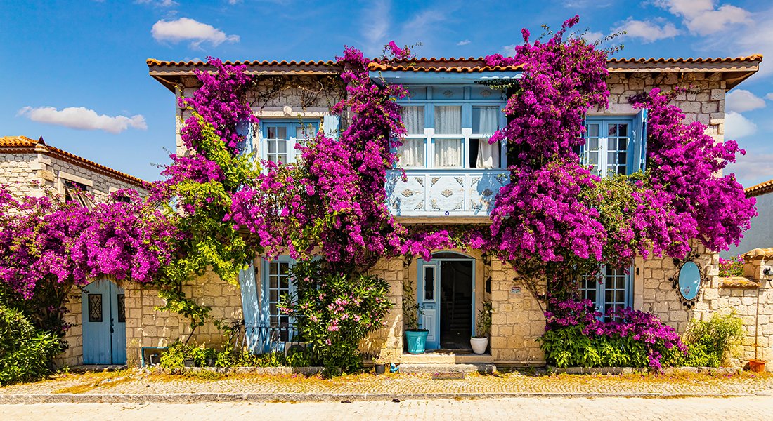 Boutique hotels have emerged as the ideal venue for destination weddings and romantic getaways.